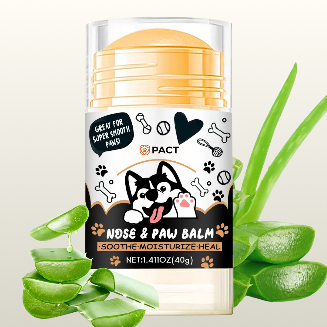 PACT Paw & Nose Balm